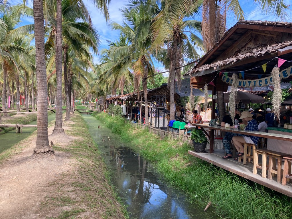 Coconut Plantation in Chiang Mai’s Tropical Savanna
