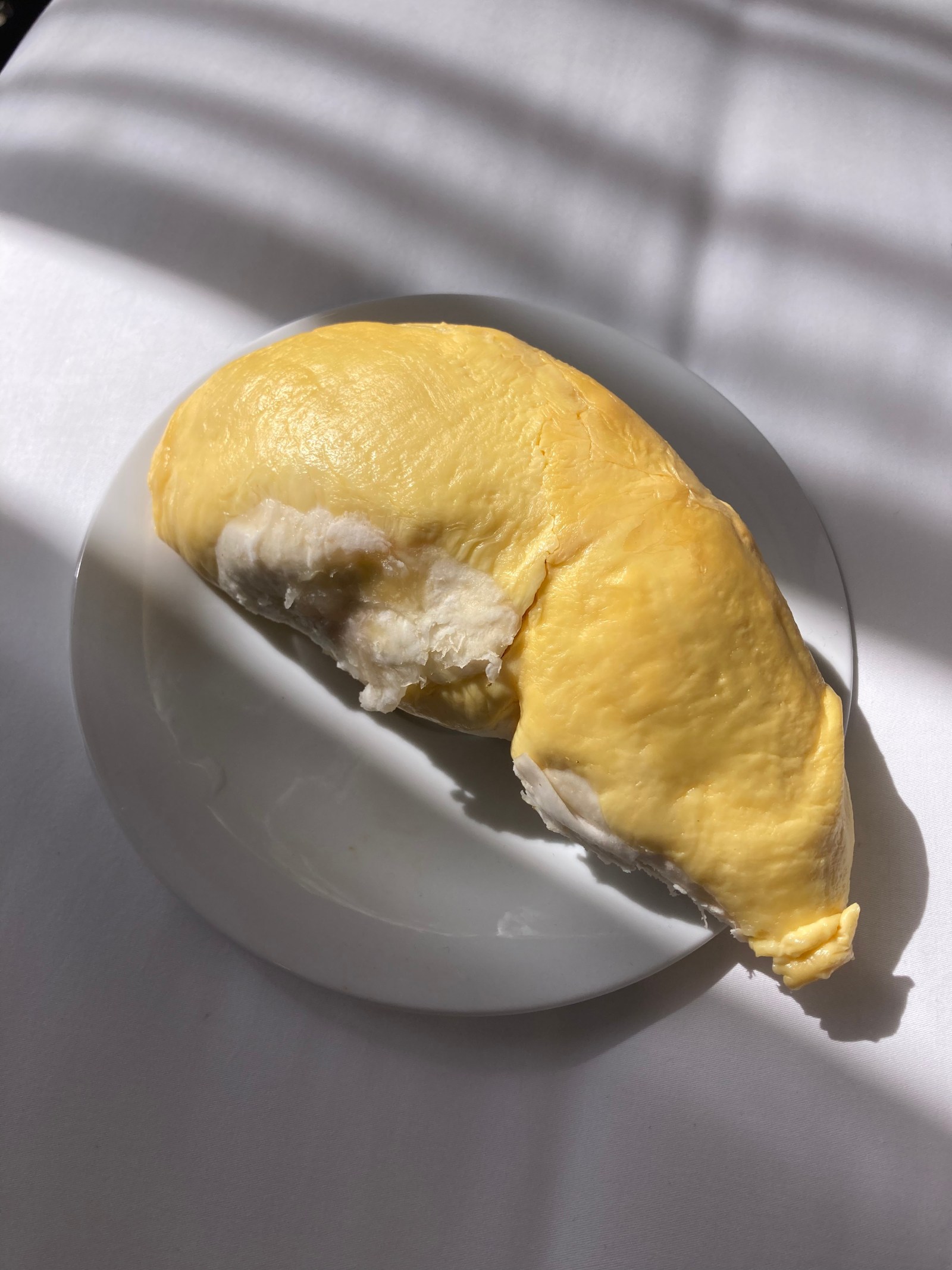 A Snap of Durian Taste and Nature