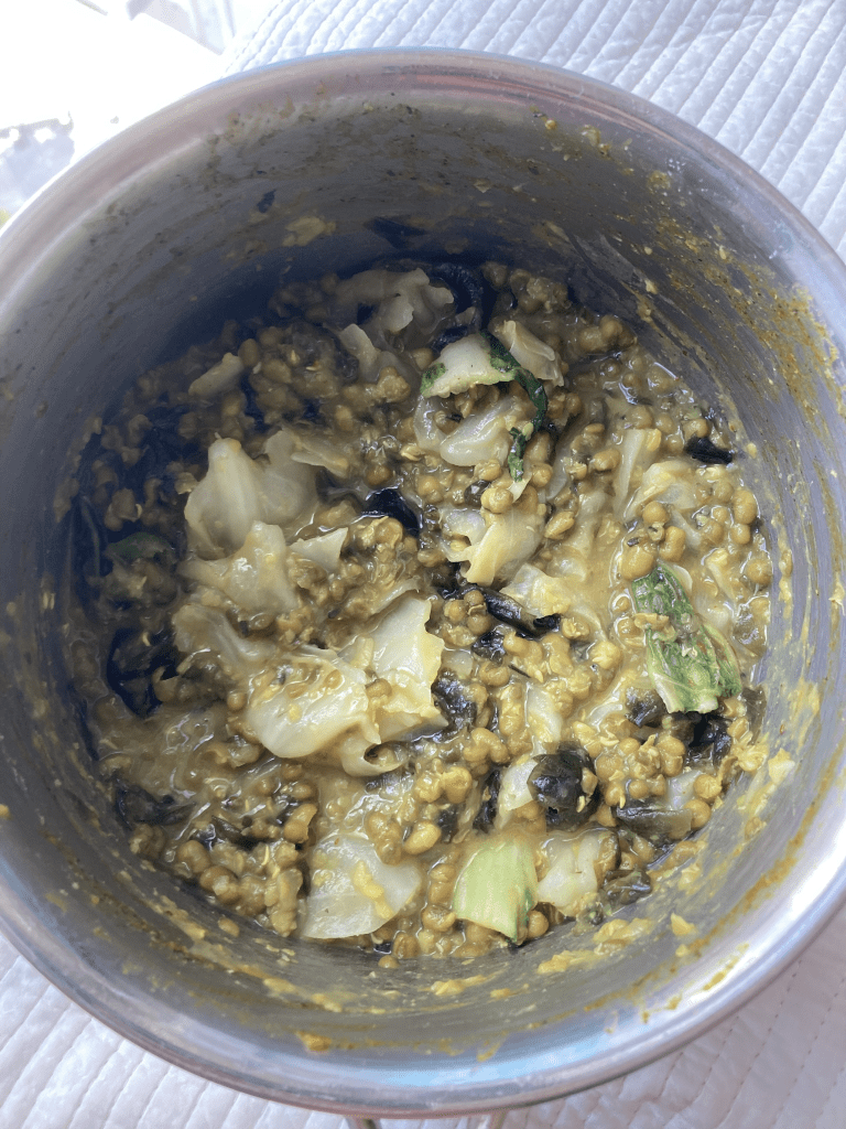 mung beans and seaweed cooked in ox bone broth, seasoned with turmeric, cumin, thyme, rosemary, and sea salt ... with cabbage for extra texture.  An integrated system.